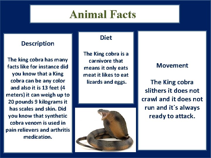Animal Facts Description The king cobra has many facts like for instance did you