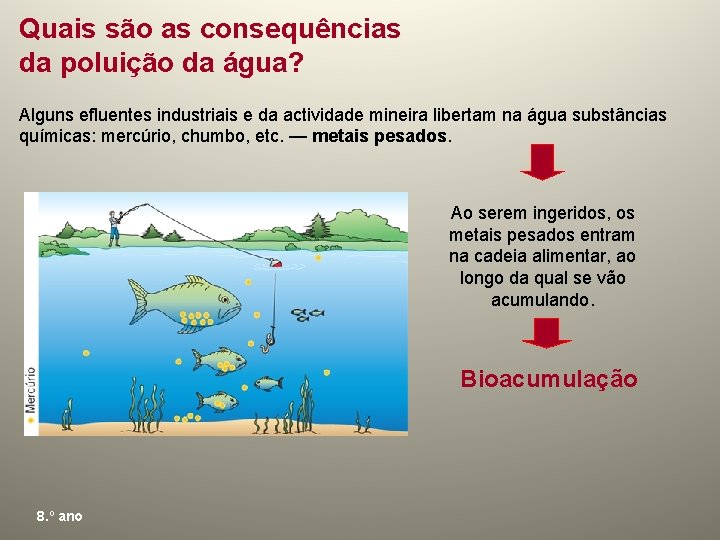 Quais são as consequências da poluição da água? Alguns efluentes industriais e da actividade