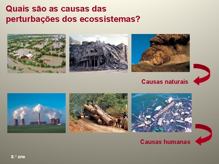 Quais são as causas das perturbações dos ecossistemas? Causas naturais Causas humanas 8. º