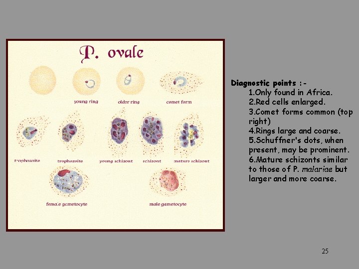Diagnostic points : 1. Only found in Africa. 2. Red cells enlarged. 3. Comet