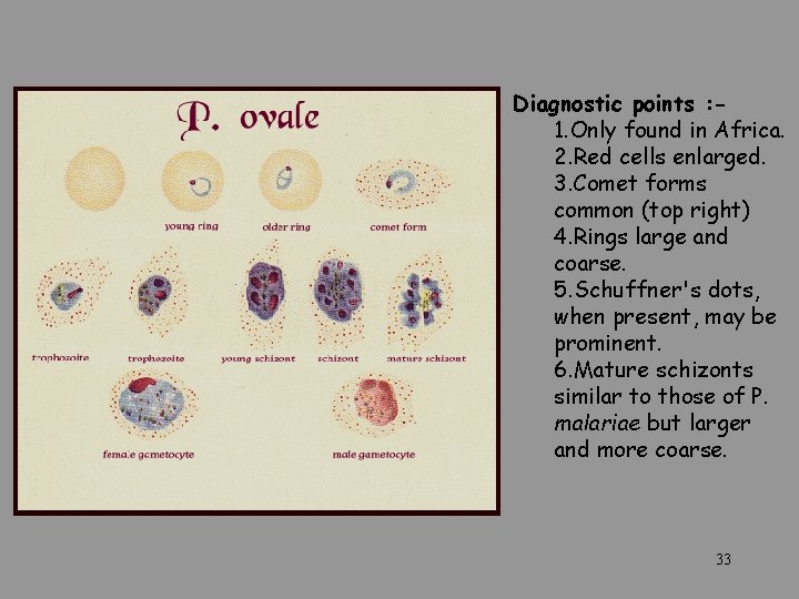 Diagnostic points : 1. Only found in Africa. 2. Red cells enlarged. 3. Comet