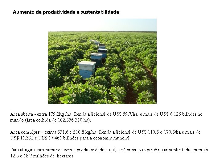 Aumento de produtividade e sustentabilidade Área aberta - extra 179, 2 kg /ha. Renda