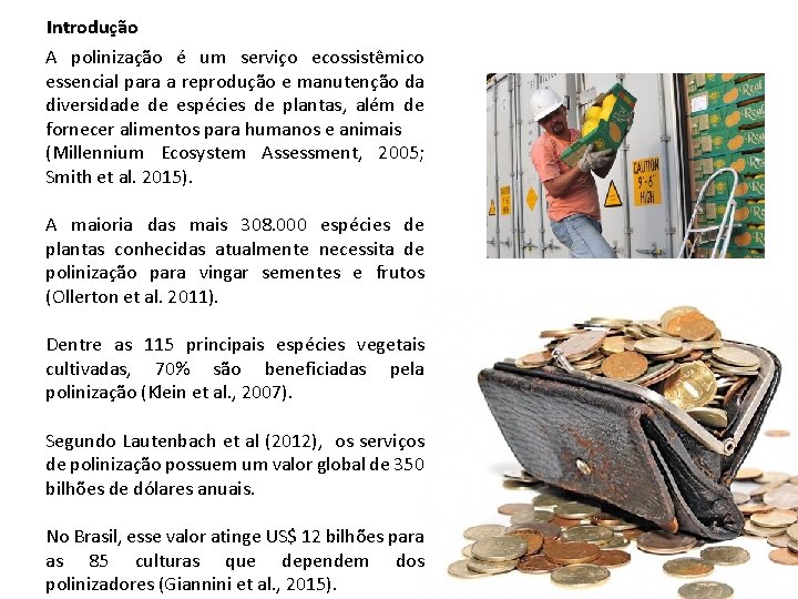 Introdução A polinização é um serviço ecossistêmico essencial para a reprodução e manutenção da