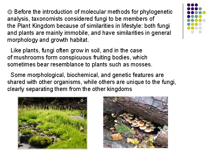 ◎ Before the introduction of molecular methods for phylogenetic analysis, taxonomists considered fungi to
