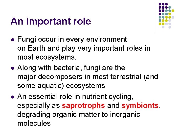 An important role l l l Fungi occur in every environment on Earth and