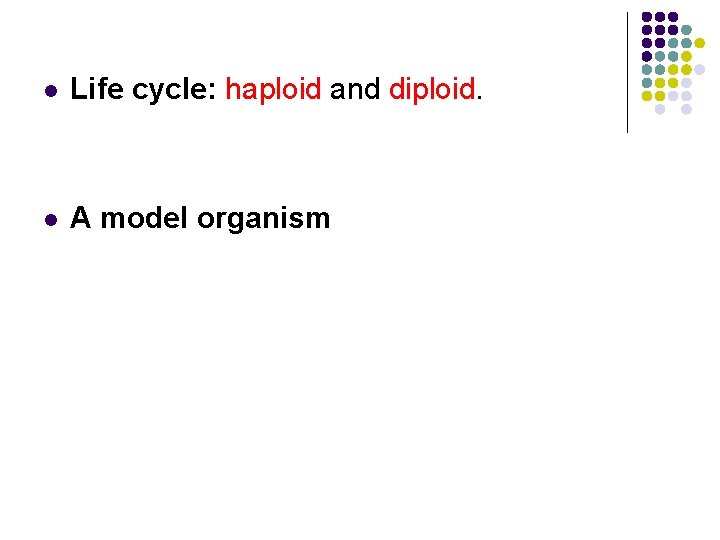l Life cycle: haploid and diploid. l A model organism 