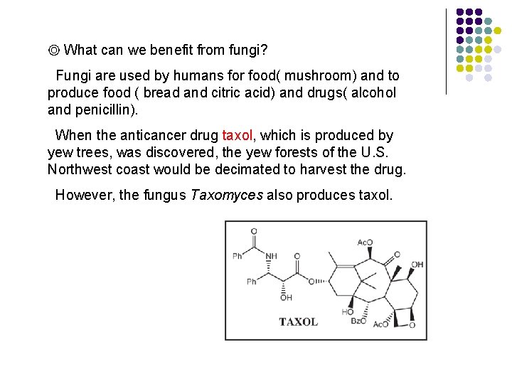 ◎ What can we benefit from fungi? Fungi are used by humans for food(