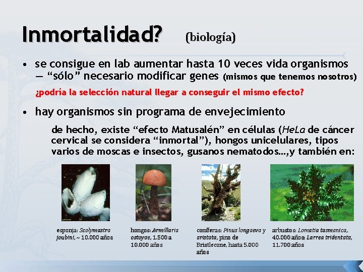 Inmortalidad? (biología) • se consigue en lab aumentar hasta 10 veces vida organismos —