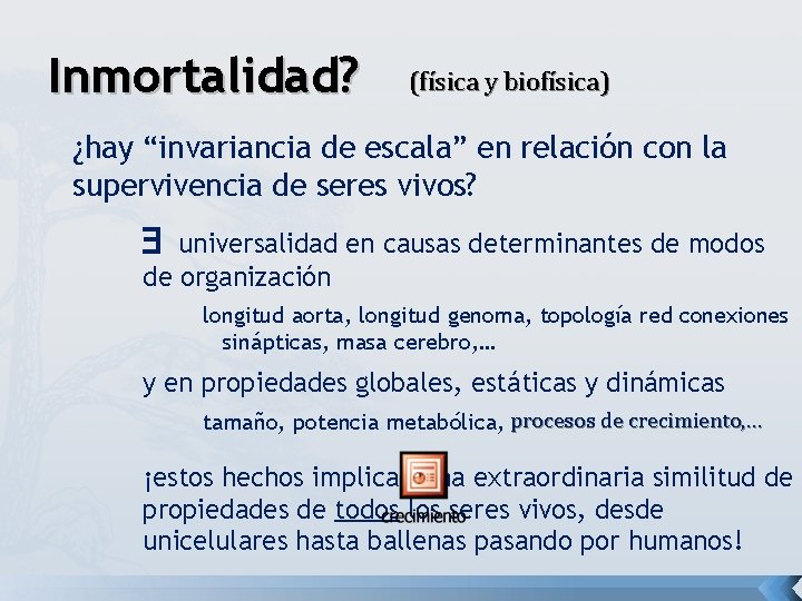 Inmortalidad? (física y biofísica) ¿hay “invariancia de escala” en relación con la supervivencia de