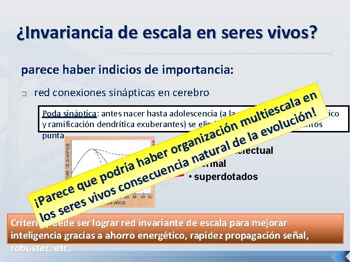 ¿Invariancia de escala en seres vivos? parece haber indicios de importancia: � red conexiones