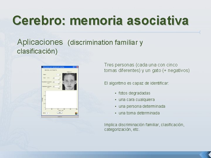 Cerebro: memoria asociativa Aplicaciones (discrimination familiar y clasificación) Tres personas (cada una con cinco