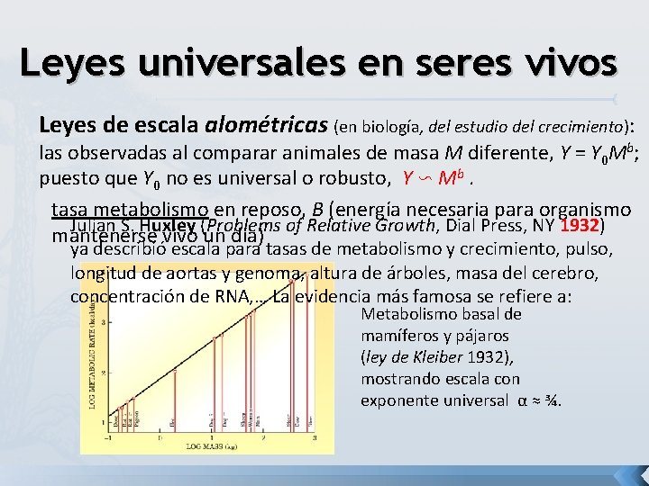 Leyes universales en seres vivos Leyes de escala alométricas (en biología, del estudio del