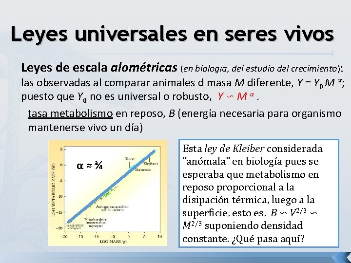 Leyes universales en seres vivos Leyes de escala alométricas (en biología, del estudio del