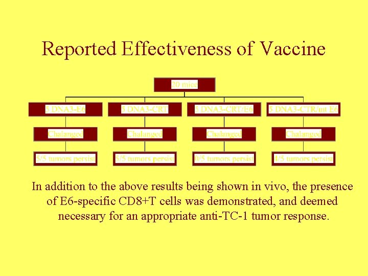 Reported Effectiveness of Vaccine In addition to the above results being shown in vivo,