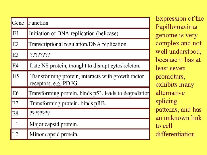Expression of the Papillomavirus genome is very complex and not well understood, because it