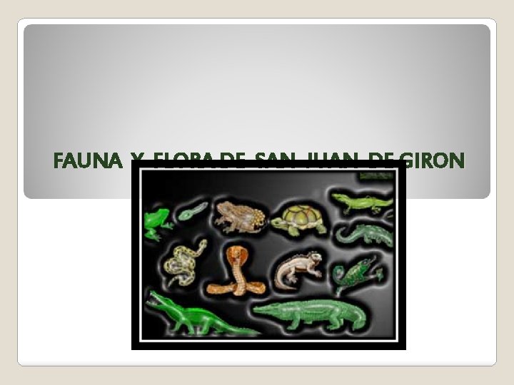 FAUNA Y FLORA DE SAN JUAN DE GIRON 