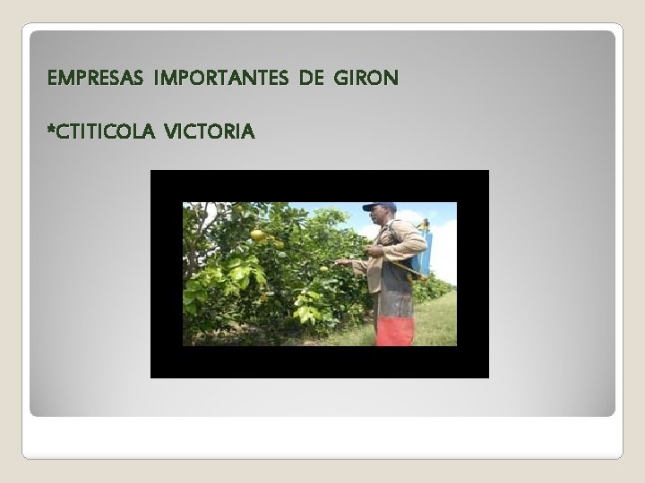 EMPRESAS IMPORTANTES DE GIRON *CTITICOLA VICTORIA 