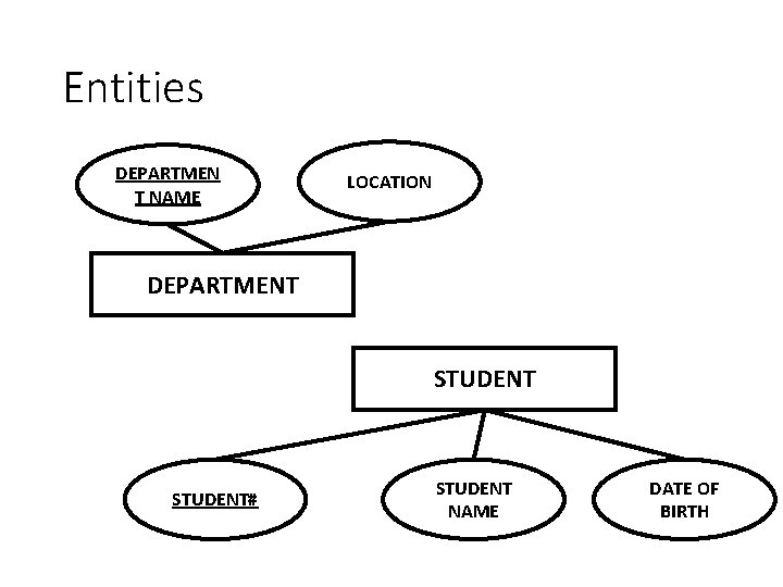 Entities DEPARTMEN T NAME LOCATION DEPARTMENT STUDENT# STUDENT NAME DATE OF BIRTH 