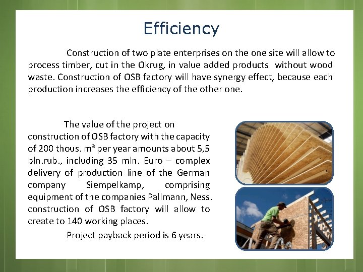 Efficiency Construction of two plate enterprises on the one site will allow to process