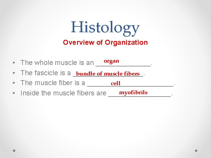 Histology Overview of Organization • • organ The whole muscle is an _______. The