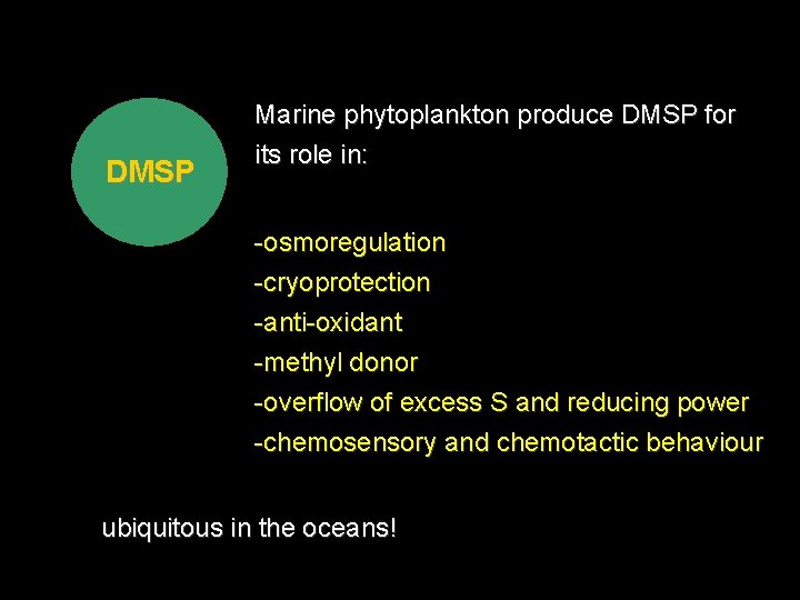 DMSP Marine phytoplankton produce DMSP for its role in: -osmoregulation -cryoprotection -anti-oxidant -methyl donor