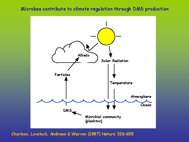 Microbes contribute to climate regulation through DMS production Albedo Solar Radiation Particles Temperature Atmosphere