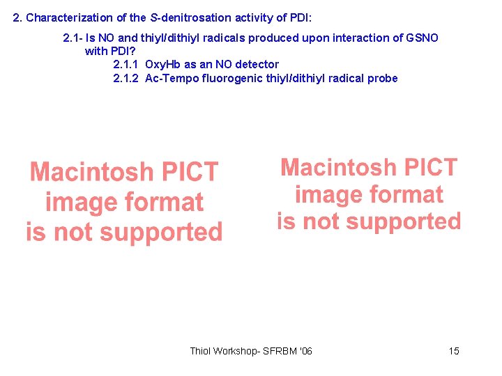 2. Characterization of the S-denitrosation activity of PDI: 2. 1 - Is NO and