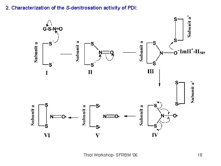 2. Characterization of the S-denitrosation activity of PDI: Thiol Workshop- SFRBM '06 18 