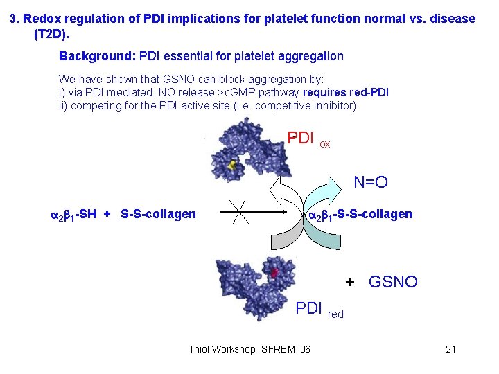 3. Redox regulation of PDI implications for platelet function normal vs. disease (T 2