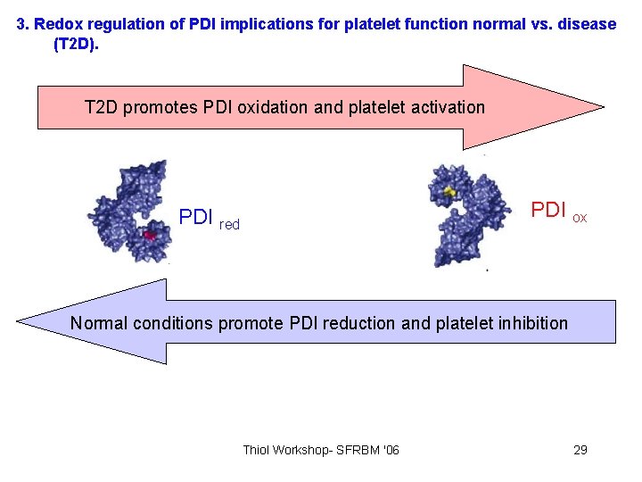 3. Redox regulation of PDI implications for platelet function normal vs. disease (T 2
