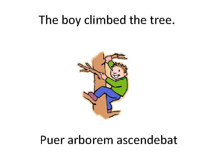 The boy climbed the tree. Puer arborem ascendebat 