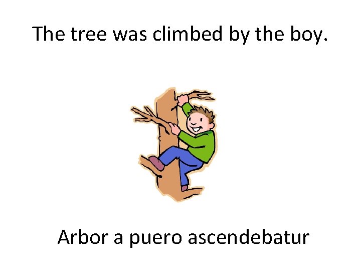 The tree was climbed by the boy. Arbor a puero ascendebatur 