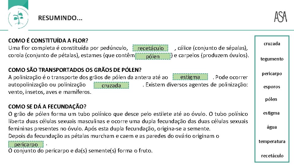 RESUMINDO. . . COMO É CONSTITUÍDA A FLOR? Uma flor completa é constituída por