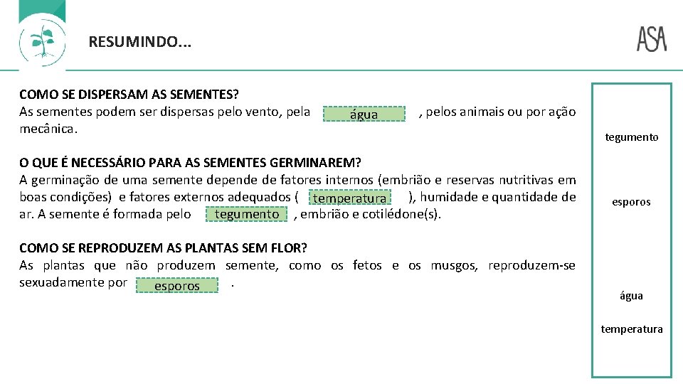 RESUMINDO. . . COMO SE DISPERSAM AS SEMENTES? As sementes podem ser dispersas pelo