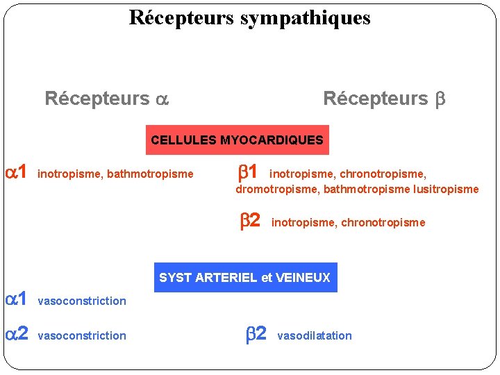 Récepteurs sympathiques Récepteurs CELLULES MYOCARDIQUES 1 inotropisme, bathmotropisme 1 inotropisme, chronotropisme, dromotropisme, bathmotropisme lusitropisme