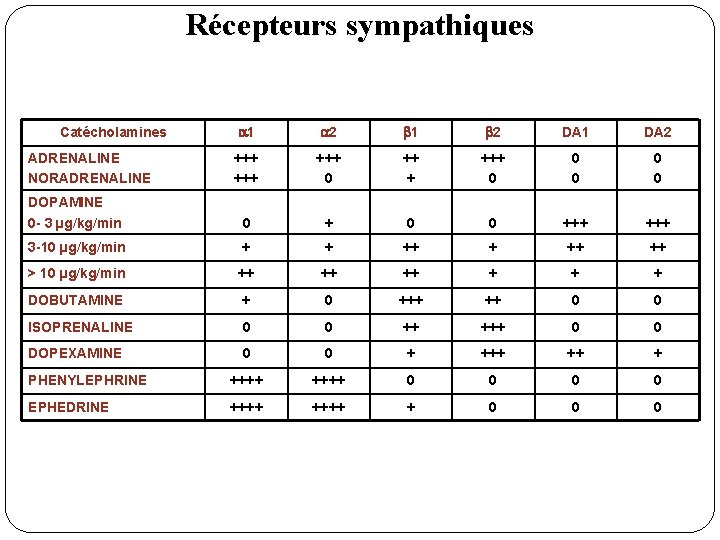 Récepteurs sympathiques 1 2 DA 1 DA 2 +++ +++ 0 ++ + +++