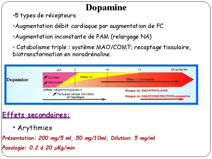  • 5 types de récepteurs Dopamine • Augmentation débit cardiaque par augmentation de