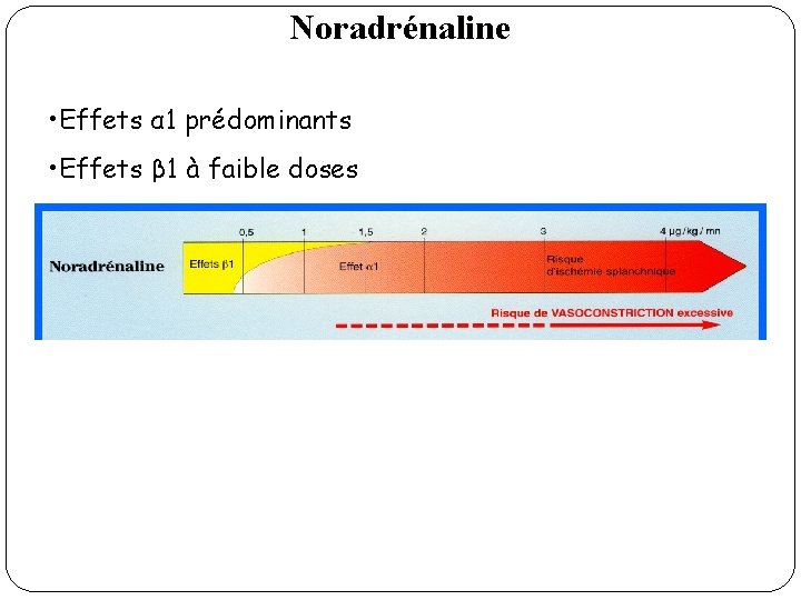 Noradrénaline • Effets α 1 prédominants • Effets β 1 à faible doses 