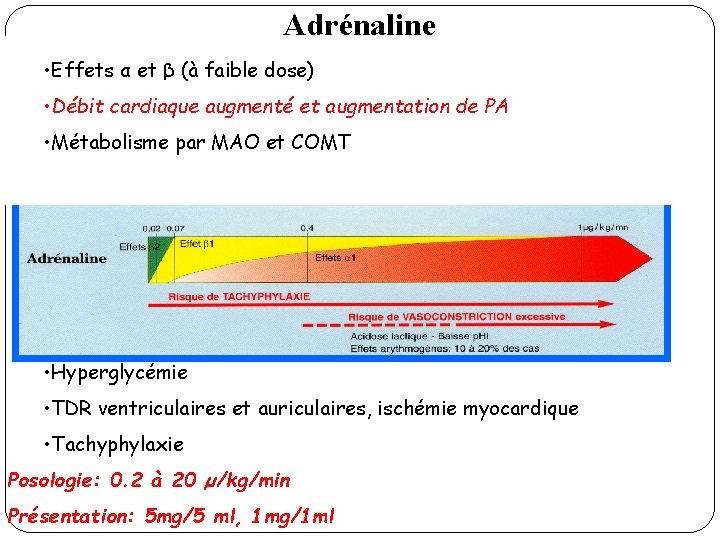 Adrénaline • Effets α et β (à faible dose) • Débit cardiaque augmenté et