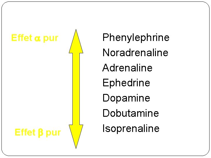 Effet pur Phenylephrine Noradrenaline Adrenaline Ephedrine Dopamine Dobutamine Isoprenaline 