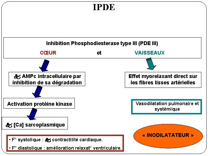 IPDE Inhibition Phosphodiesterase type III (PDE III) CŒUR et VAISSEAUX k AMPc intracellulaire par