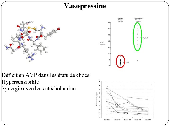 Vasopressine Déficit en AVP dans les états de chocs Hypersensibilité Synergie avec les catécholamines