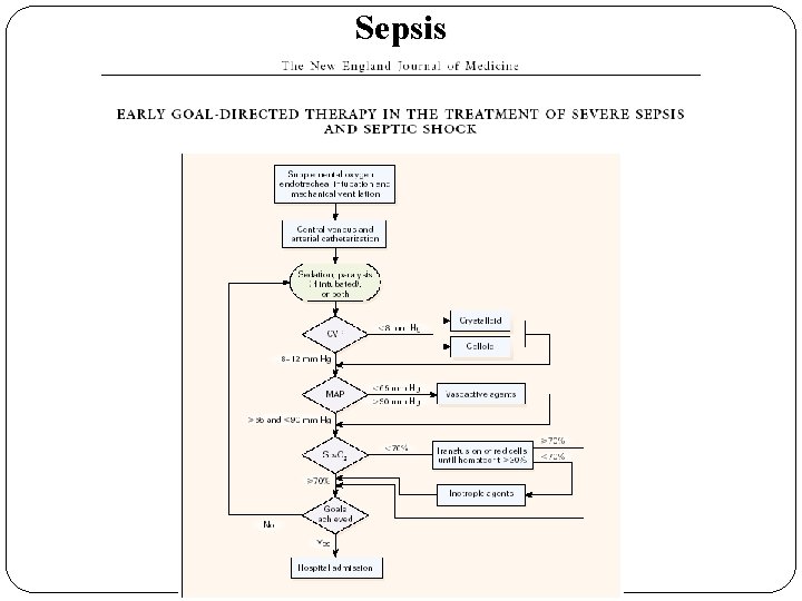 Sepsis 