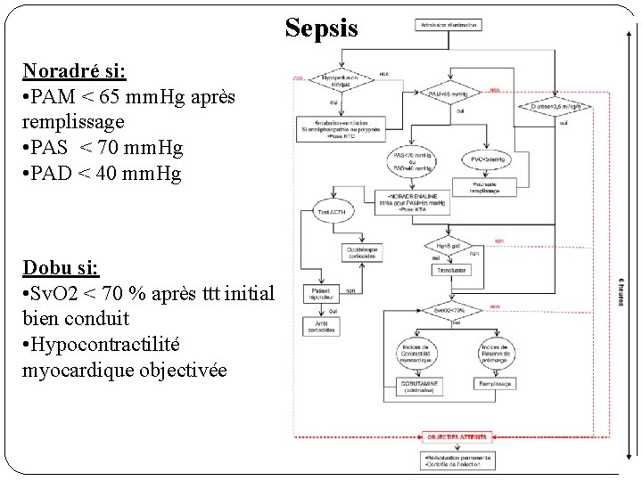 Sepsis Noradré si: • PAM < 65 mm. Hg après remplissage • PAS <