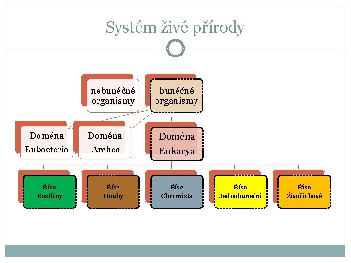 Systém živé přírody nebuněčné organismy Doména Eubacteria Říše Rostliny Doména Archea Říše Houby buněčné