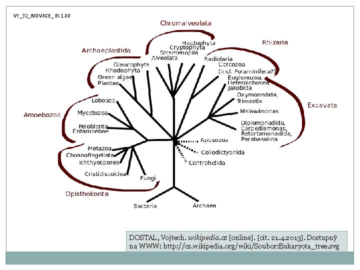 VY_32_INOVACE_ BI. 1. 08 DOSTAL, Vojtech. wikipedia. cz [online]. [cit. 21. 4. 2013]. Dostupný