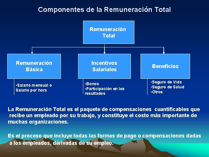 Componentes de la Remuneración Total Remuneración Básica Incentivos Salariales • Salario mensual o Salario