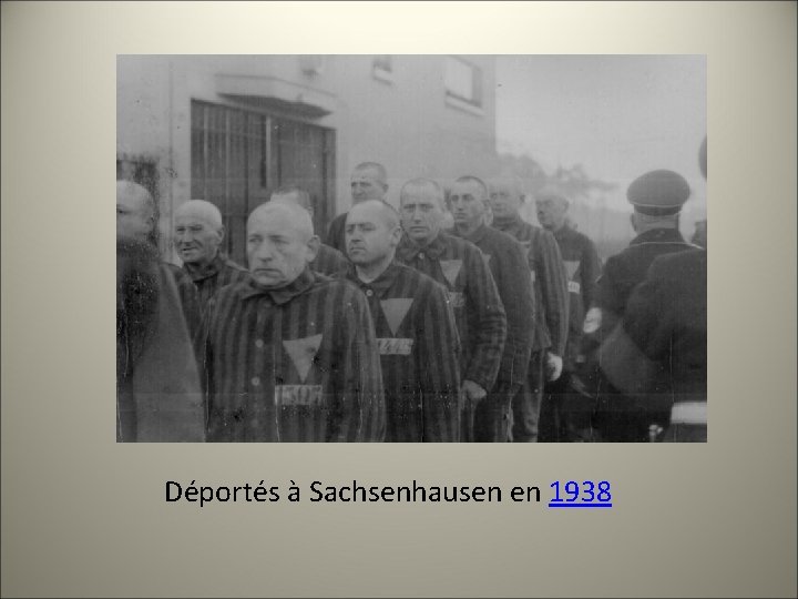 Déportés à Sachsenhausen en 1938 