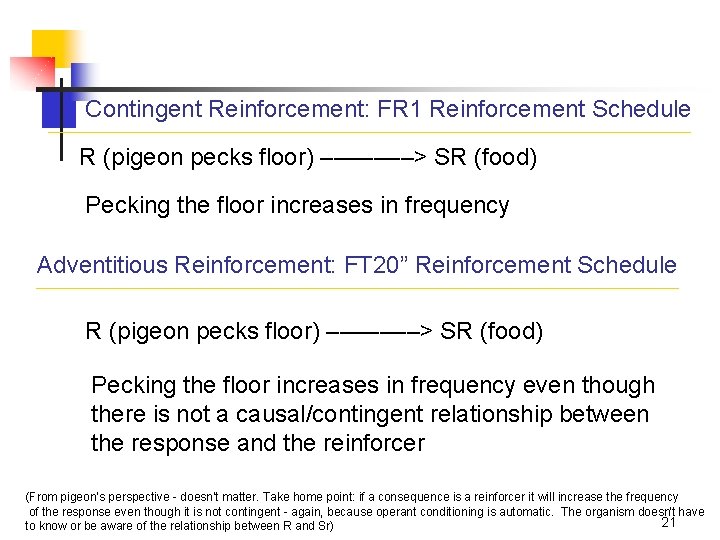 Contingent Reinforcement: FR 1 Reinforcement Schedule R (pigeon pecks floor) –––––––> SR (food) Pecking