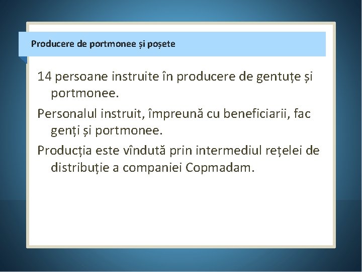 Producere de portmonee și poșete 14 persoane instruite în producere de gentuțe și portmonee.